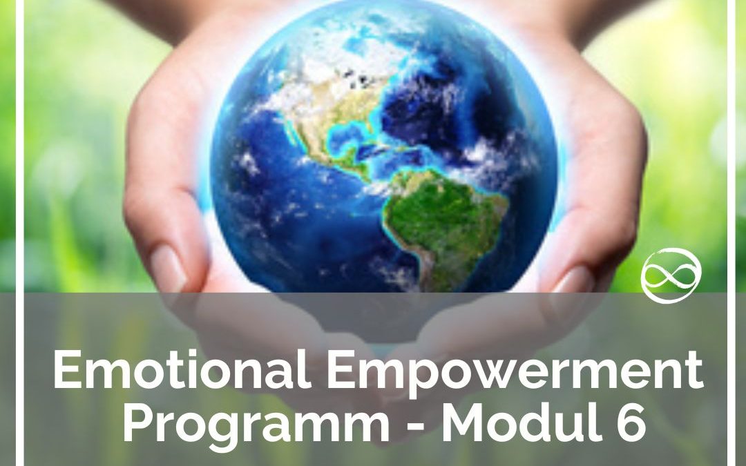 Emotional Empowerment Lab Modul #6 – Deiner Bestimmung Masse verleihen